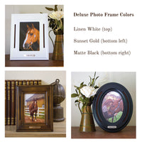 Deluxe Portrait Horsehair Frame