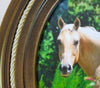 Deluxe Oval Horsehair Frame