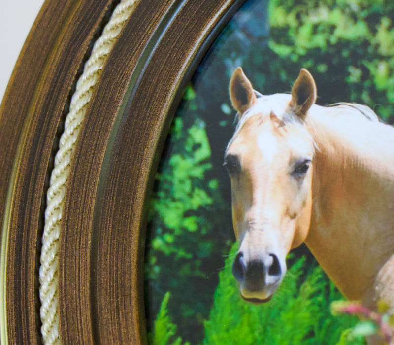 Deluxe Oval Horsehair Frame