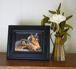 Deluxe Landscape Horsehair Frame